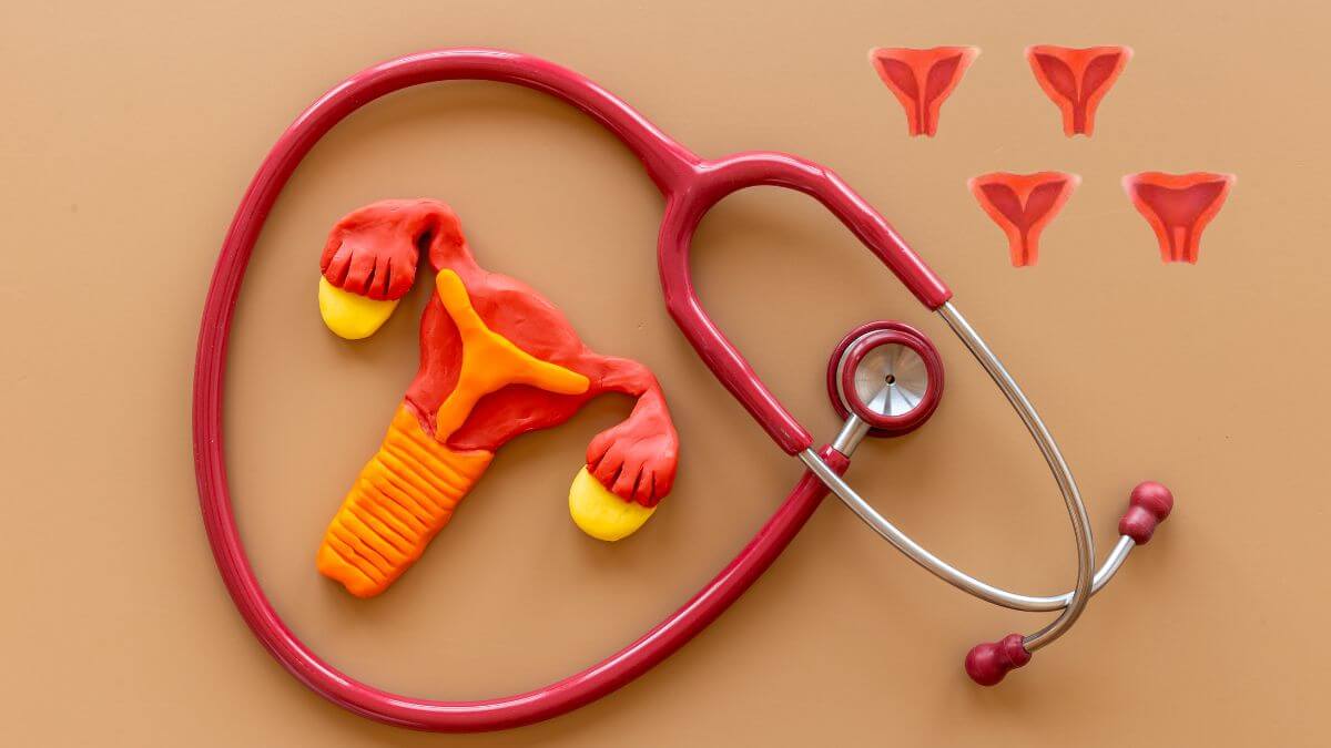 O Que é Septo Uterino e Como Ele Afeta a Fertilidade?